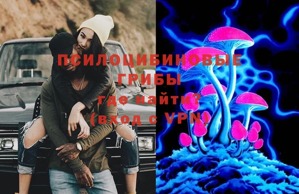 таблы Вяземский