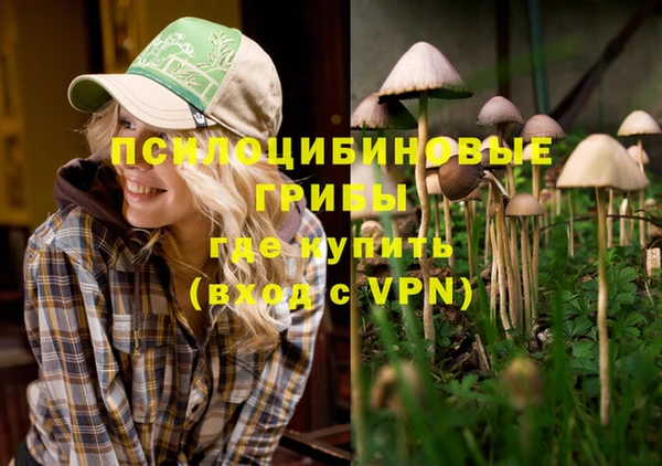 таблы Вяземский
