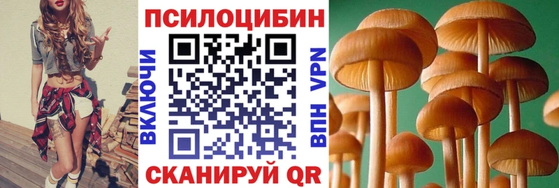 Купить где  Муравленко  Галлюциногенные грибы Cubensis 